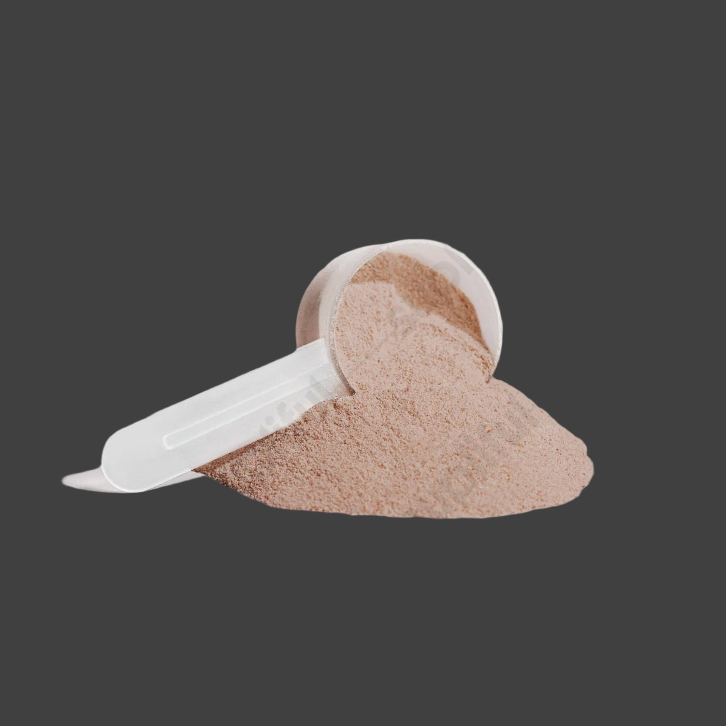 Battle Armor Athletics Plant Protein (Chocolate)